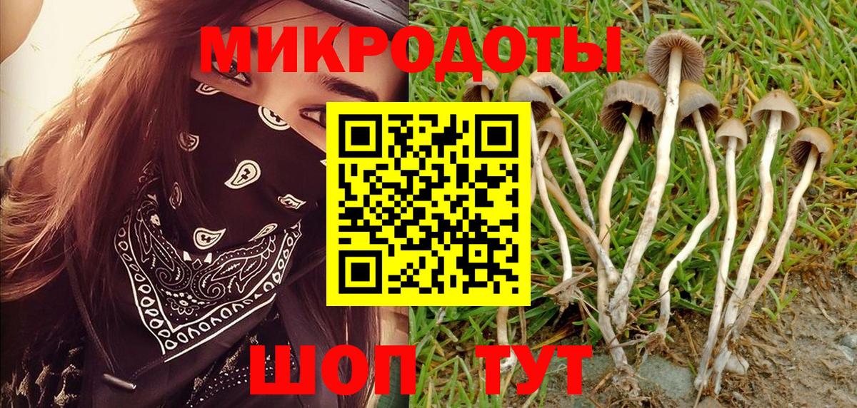 Владивосток  Псилоцибиновые грибы MAGIC MUSHROOMS  Вход с VPN  Галлюциногенные грибы MAGIC MUSHROOMS 